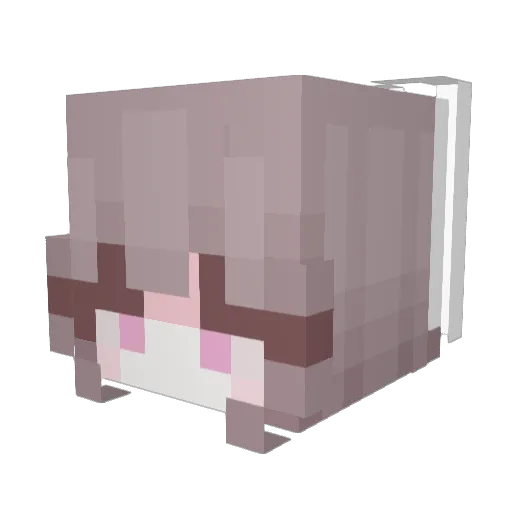 harrygrimagooner Minecraft avatar head, 3D render
