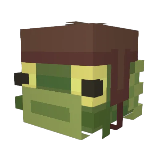 harrymeow Minecraft avatar head, 3D render
