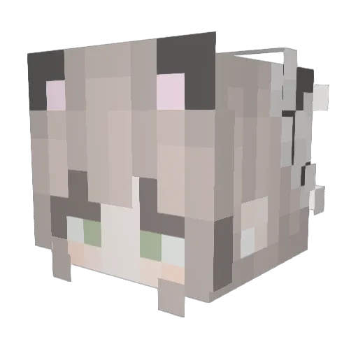 harryyry Minecraft avatar head, 3D render