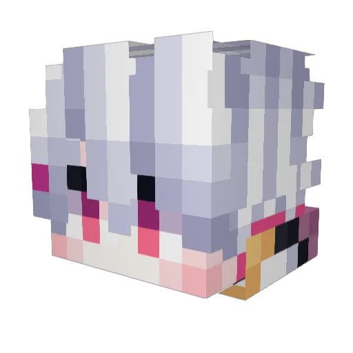 hartzza004 Minecraft avatar head, 3D render
