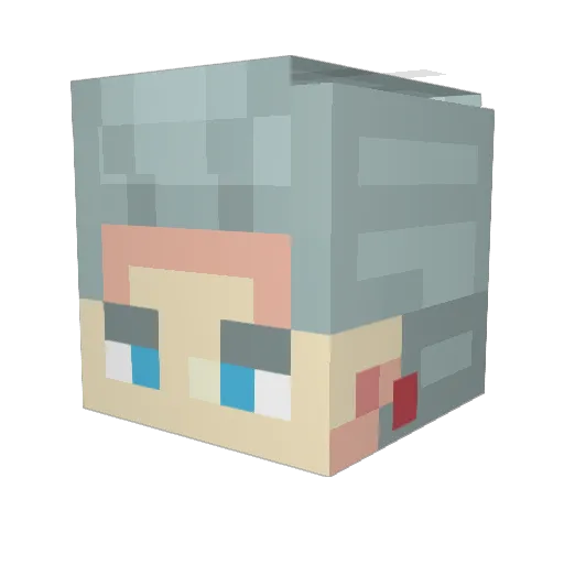 haruto1219 Minecraft avatar head, 3D render