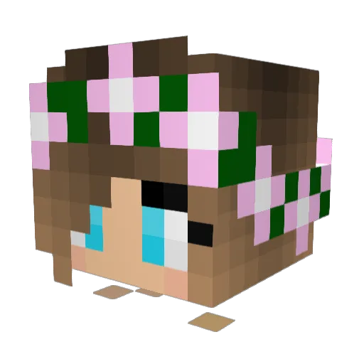 has18 Minecraft avatar head, 3D render