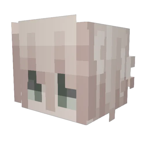 hasanoynarsaYT Minecraft avatar head, 3D render