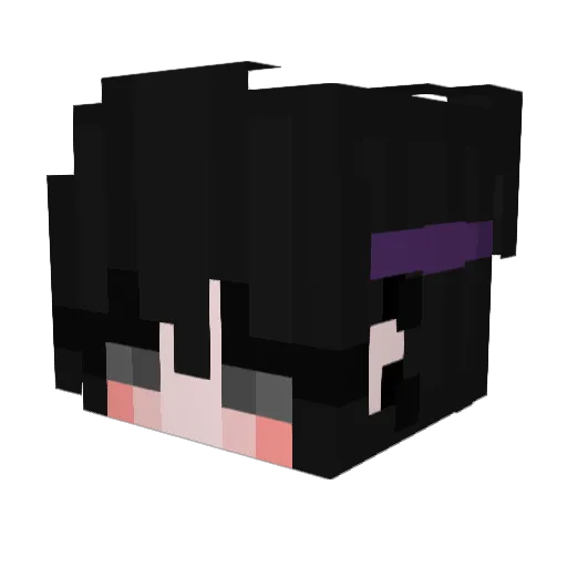 hasbrouwu Minecraft avatar head, 3D render
