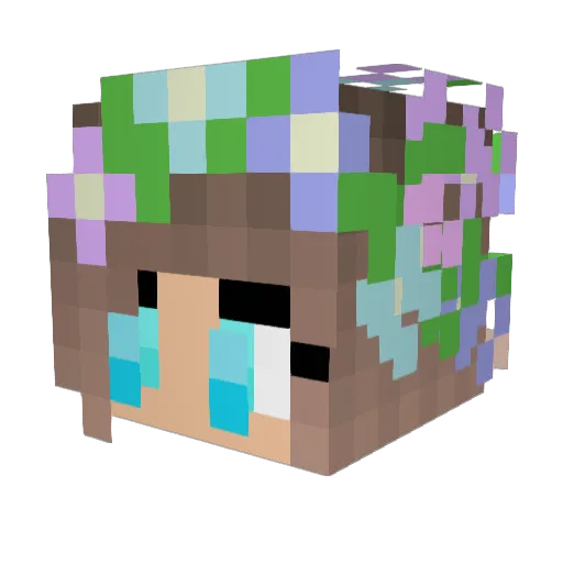 hasenwelt334 Minecraft avatar head, 3D render