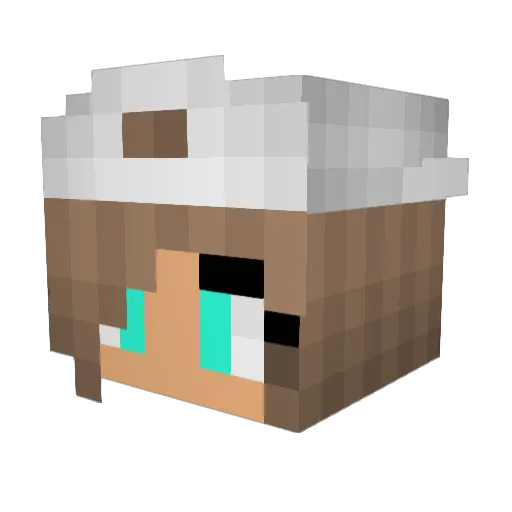 hashspice Minecraft avatar head, 3D render