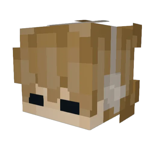 hashtag0llie Minecraft avatar head, 3D render