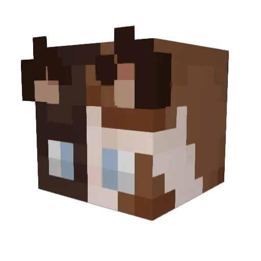 hashtagg1 Minecraft avatar head, 3D render