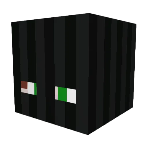 hashtagos Minecraft avatar head, 3D render