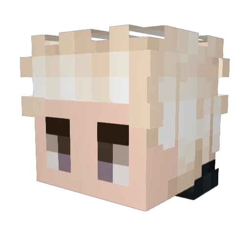 hasn3r Minecraft avatar head, 3D render