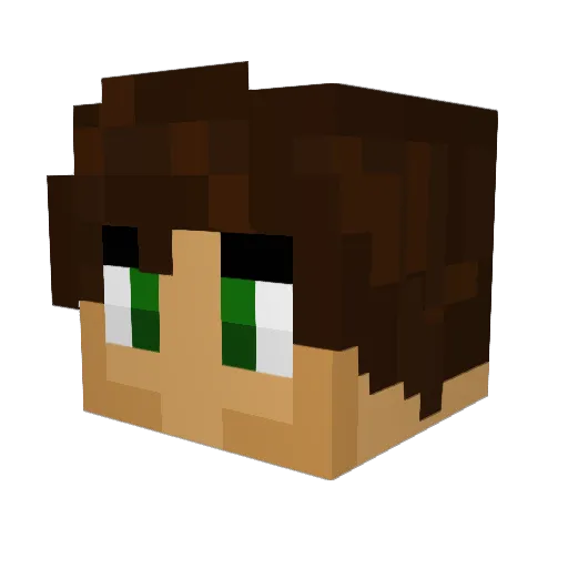 hasoo69 Minecraft avatar head, 3D render