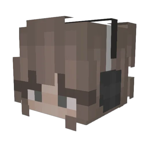 hasoosaa Minecraft avatar head, 3D render