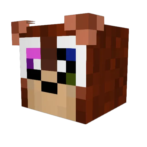 hasshh Minecraft avatar head, 3D render