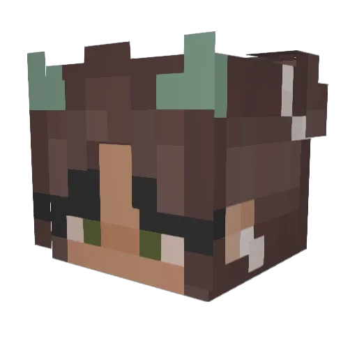 hassijun Minecraft avatar head, 3D render