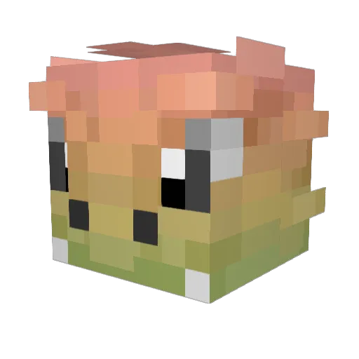 hassofried Minecraft avatar head, 3D render