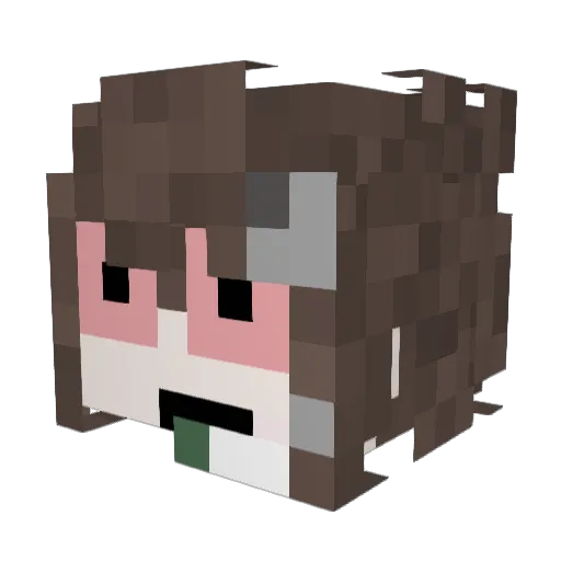 hassonlol Minecraft avatar head, 3D render