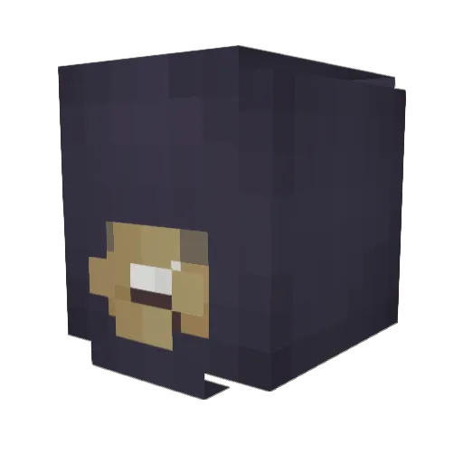 hasu397 Minecraft avatar head, 3D render