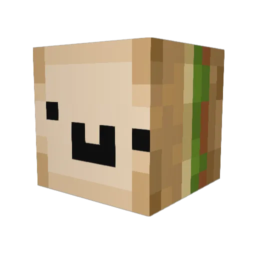 hasutin Minecraft avatar head, 3D render