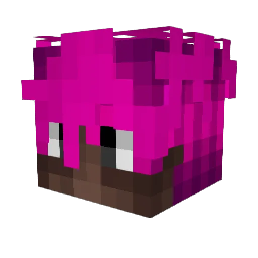 hasvn Minecraft avatar head, 3D render