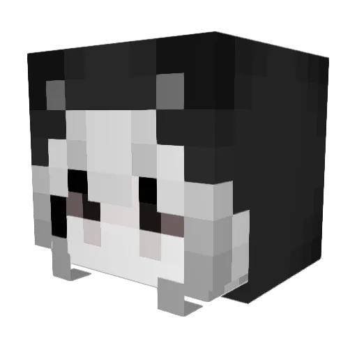hat Minecraft avatar head, 3D render