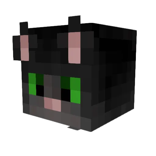hat_wan Minecraft avatar head, 3D render