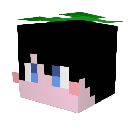 hatahata8585 Minecraft avatar head, 3D render