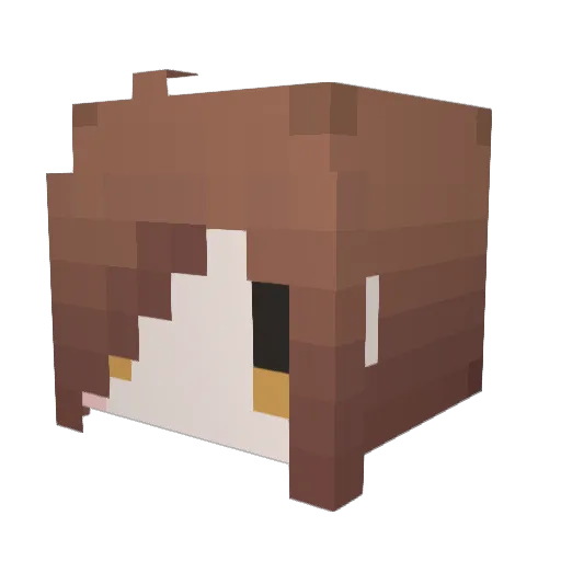 hatapp Minecraft avatar head, 3D render