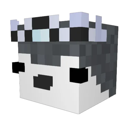 hatchy11 Minecraft avatar head, 3D render