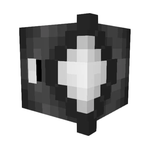 hate2009 Minecraft avatar head, 3D render