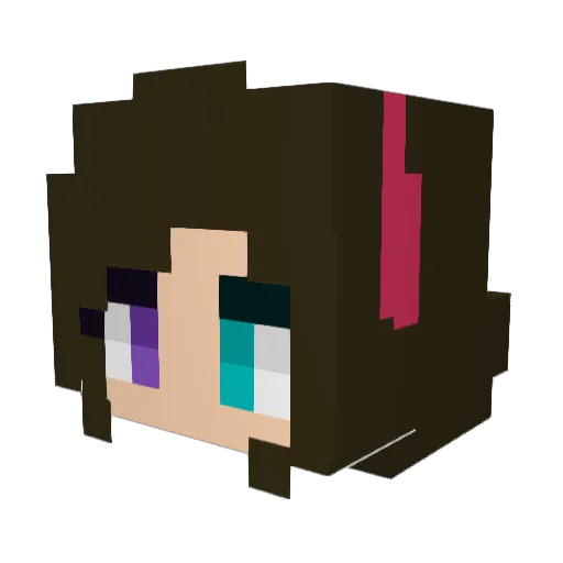 hateThem Minecraft avatar head, 3D render