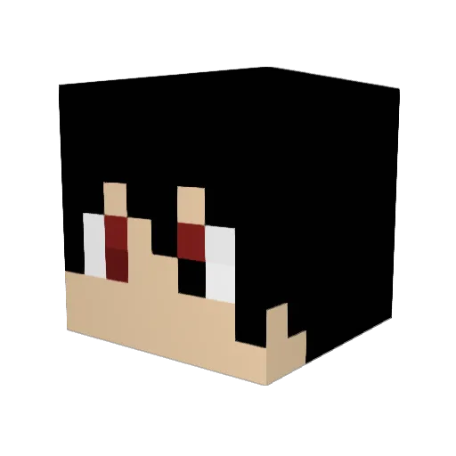 hatecorner Minecraft avatar head, 3D render