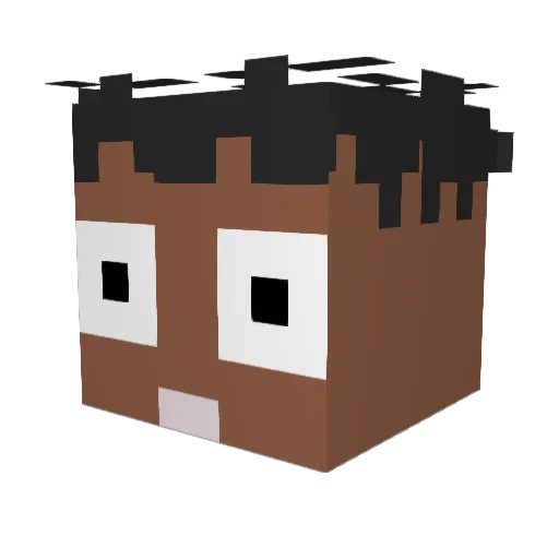 hatediggers Minecraft avatar head, 3D render