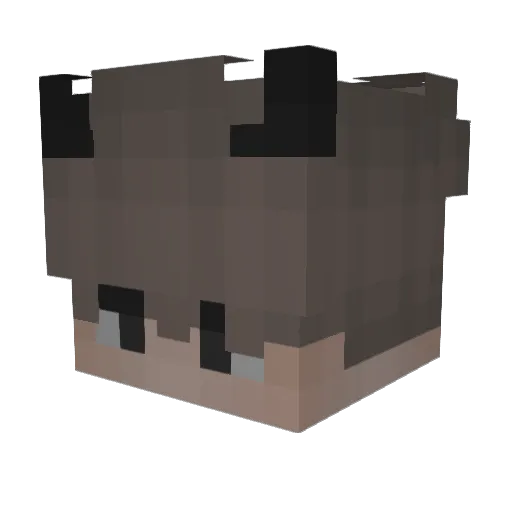 hatemetoo Minecraft avatar head, 3D render
