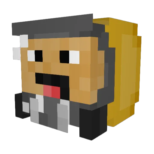 hatepage Minecraft avatar head, 3D render