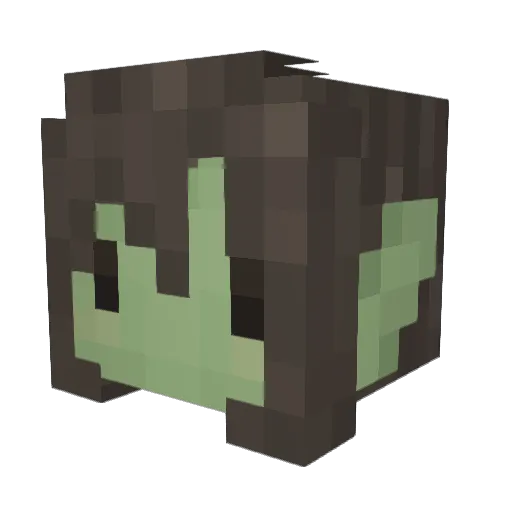 haterisms Minecraft avatar head, 3D render
