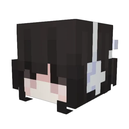 hatesparks Minecraft avatar head, 3D render