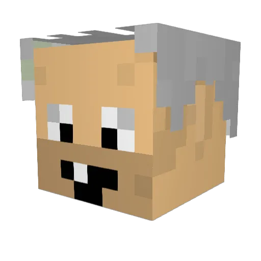 hateu1 Minecraft avatar head, 3D render