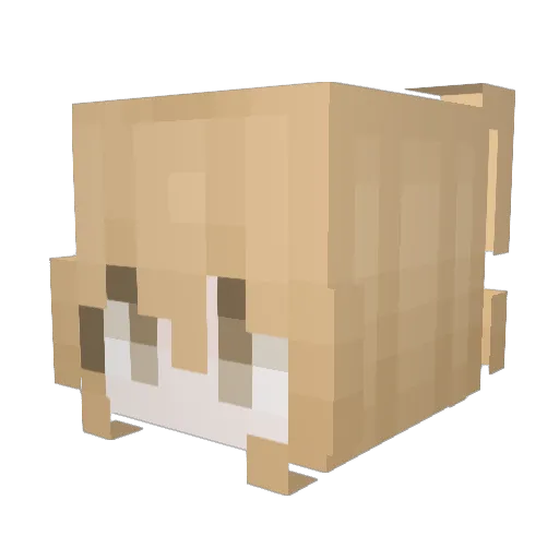 hatieskitten Minecraft avatar head, 3D render