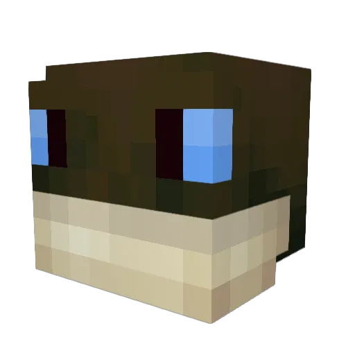 hatsuneikari Minecraft avatar head, 3D render
