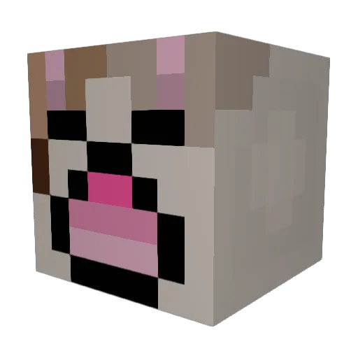 hatsy7513 Minecraft avatar head, 3D render