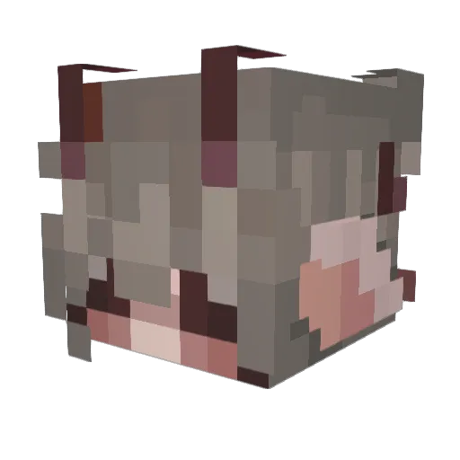 hauntliing Minecraft avatar head, 3D render