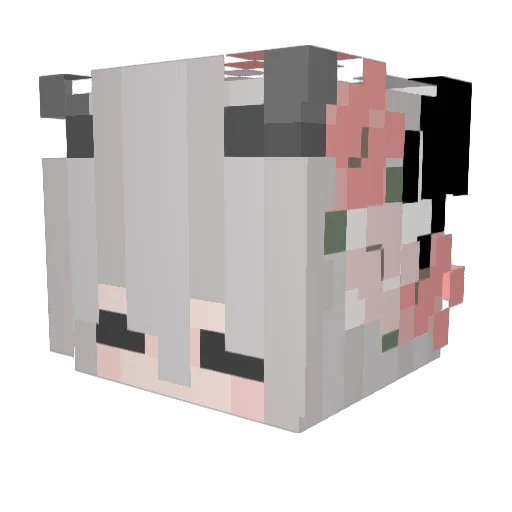 hausdachs Minecraft avatar head, 3D render