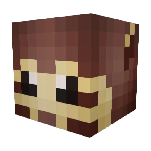 hausty Minecraft avatar head, 3D render