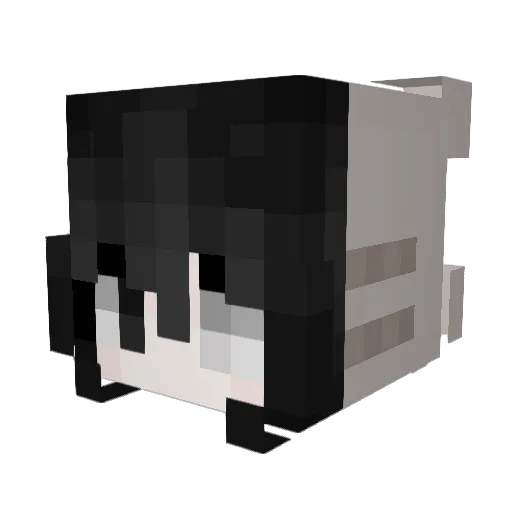 hav_meow Minecraft avatar head, 3D render