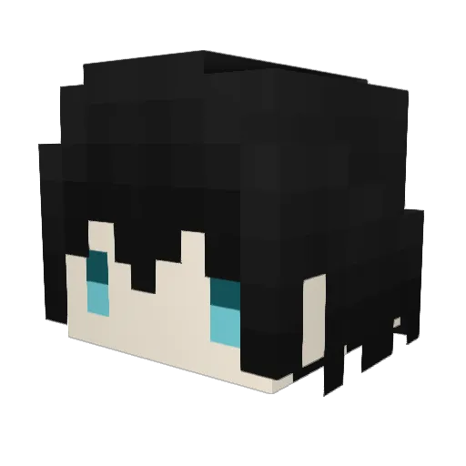 haveBadTeam Minecraft avatar head, 3D render