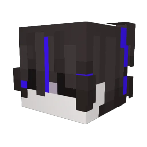 have_n0_fear Minecraft avatar head, 3D render