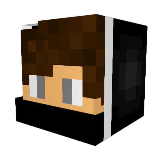 havefunwith Minecraft avatar head, 3D render