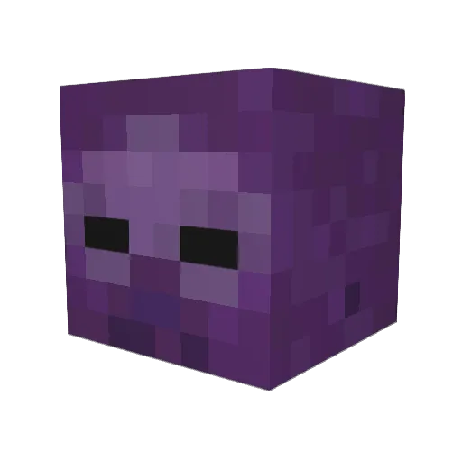 havent1 Minecraft avatar head, 3D render