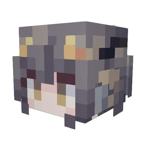 haventhen Minecraft avatar head, 3D render