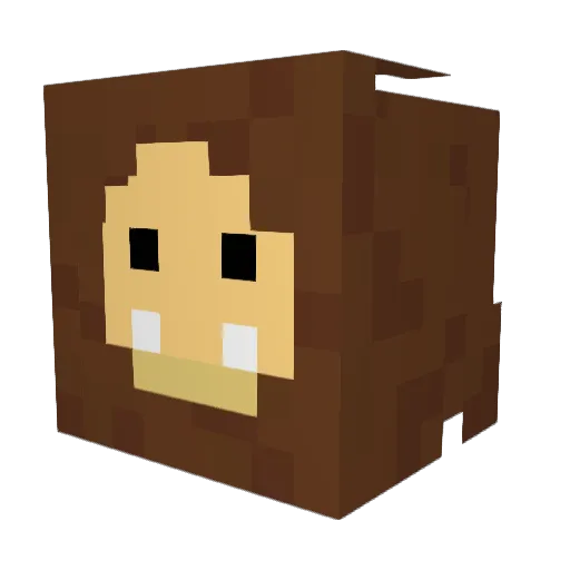 havequads Minecraft avatar head, 3D render
